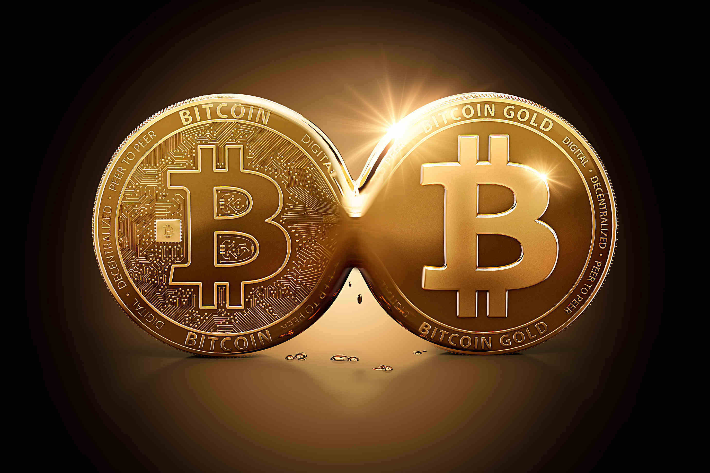 bitcoin gold fork blockchain wallet