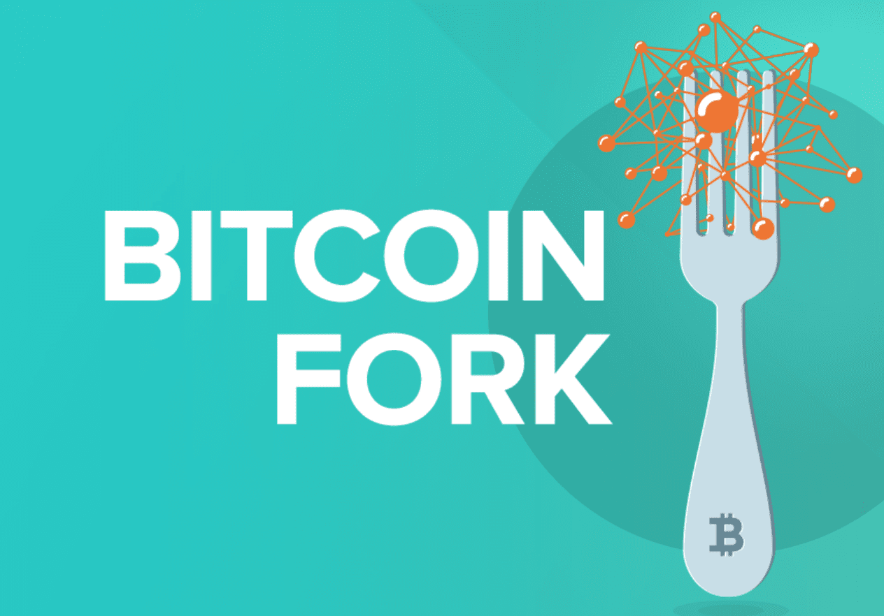 bitcoin cash Archives - Coinmotion: Invest in Crypto Securely