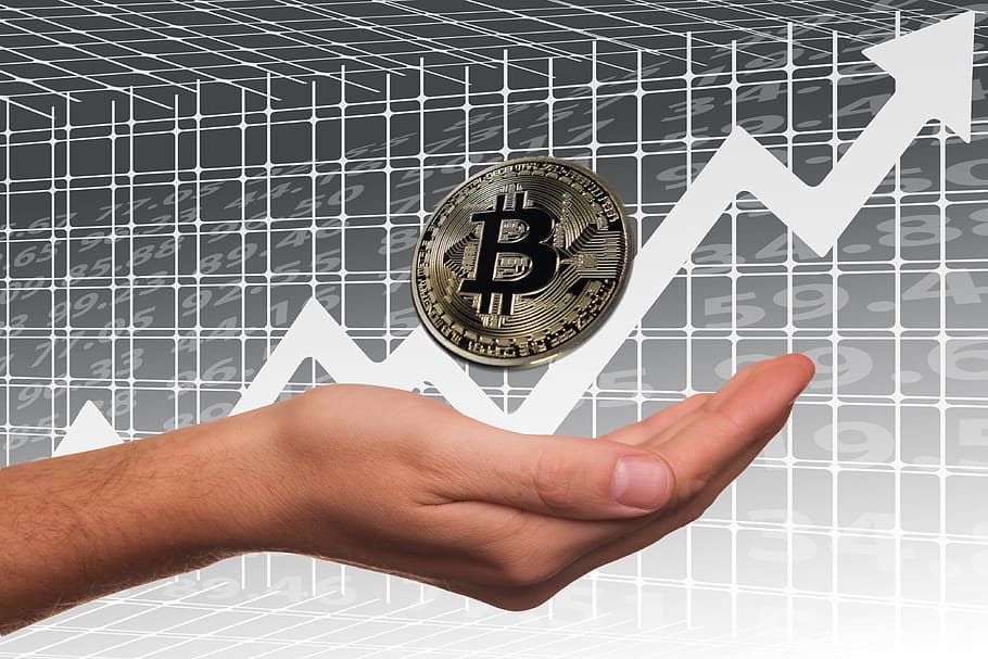 bitcoin-stock-exchange-profit-share