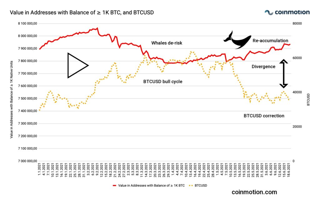 bitcoin-whales-accumulating-btc-technical-analysis-coinmotion