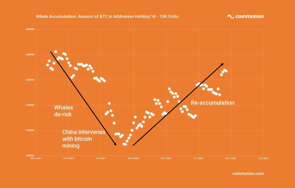 whales accumulate bitcoin summer 2021