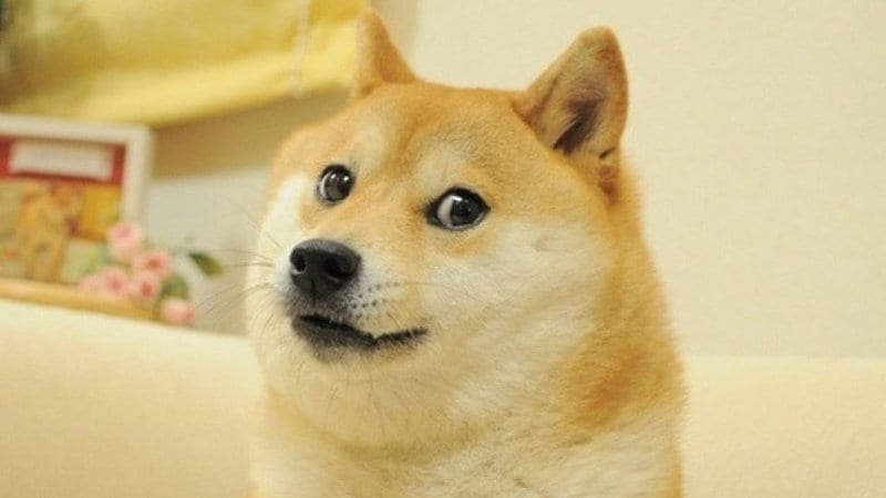 Doge Dogecoin criptomoneda análisis